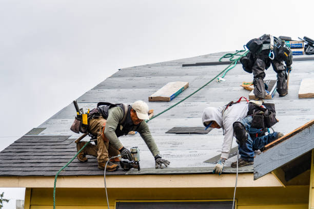Professional Roofing technician working in Portage, PA